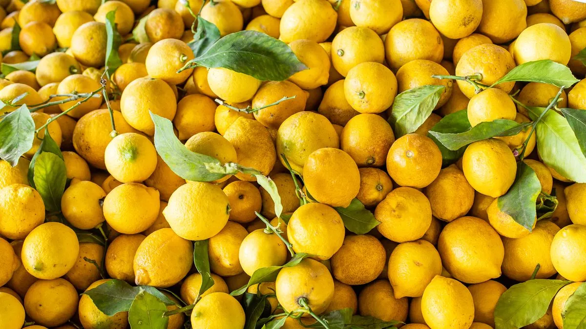 Acqua e limone al mattino: mito o realtà?