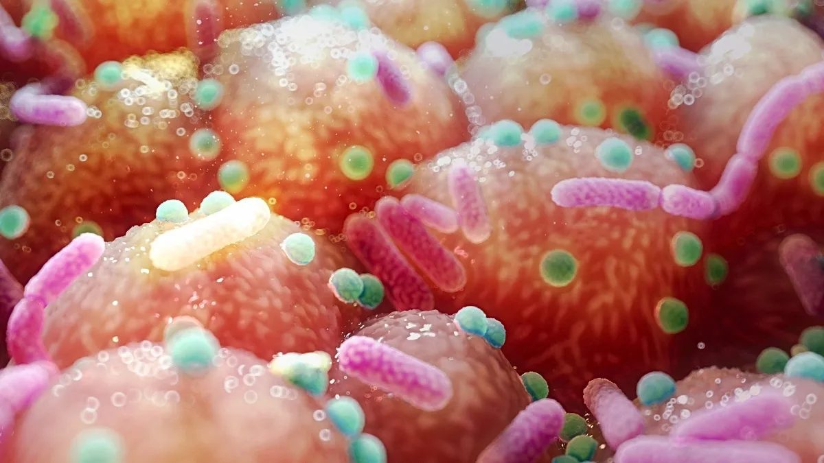 Scoperta di una nuova dimensione del morbo di Parkinson: il ruolo chiave del microbioma intestinale